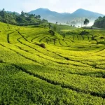 Natural Tourist Attractions in Bogor That Offer Amazing Views