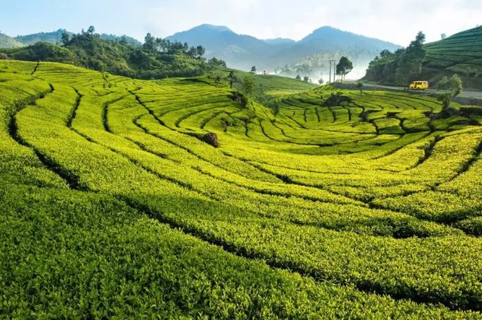 Natural Tourist Attractions in Bogor That Offer Amazing Views