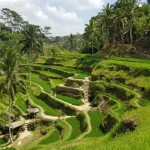 Tourist Attractions in Bali That Offer Natural Beauty Combined with Unique Culture