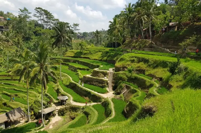 Tourist Attractions in Bali That Offer Natural Beauty Combined with Unique Culture